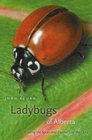 Ladybugs of Alberta Finding the Spots and Connecting the Dots