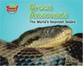 Green Anaconda The World's Heaviest Snake