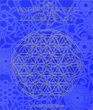 The Ancient Secret of the Flower of Life: Volume 2 (Ancient Secret of the Flower of Life)