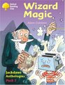 Oxford Reading Tree Stages 811 Jackdaws Pack 1 Wizard Magic