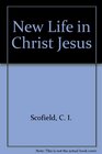New Life in Christ Jesus