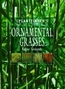 Plantfinder's Guide to Ornamental Grasses