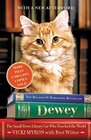 Dewey The SmallTown Library Cat Who Touched the World