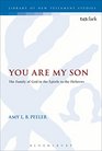 You Are My Son The Family of God in the Epistle to the Hebrews