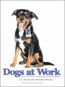 Dogs at Work A Practical Guide to Creating DogFriendly Workplaces