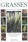 Grasses An Illustrated Guide to Varieties