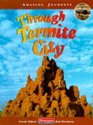 Through Termite City