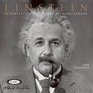 Einstein 2008 Wall Calendar