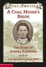 A Coal Miner's Bride the Diary of Anetka Saminska
