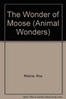 The Wonder of Moose