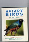 Aviary Birds in Colour