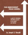 Enrichment Triad Model