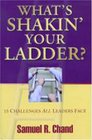 What's Shakin' Your Ladder 15 Challenges All Leaders Face