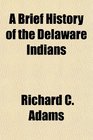 A Brief History of the Delaware Indians