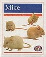 PM  Orange Level Pets Mice