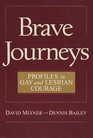 Brave Journeys  Profiles in Gay and Lesbian Courage