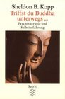 Triffst du Buddha unterwegs  Psychotherapie und Selbsterfahrung