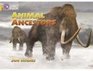 Animal Ancestors Band 09/Gold