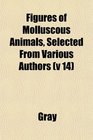 Figures of Molluscous Animals Selected From Various Authors