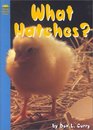 What Hatches