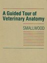 A Guided Tour of Veterinary Anatomy Domestic Ungulates and Laboratory Mammals