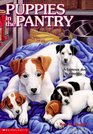 Puppies in the Pantry (Animal Ark, Bk 3)