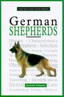 A New Owner's Guide to German Shepherds