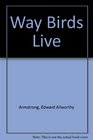 WAY BIRDS LIVE
