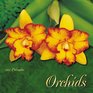 Orchids 2001 Calendar