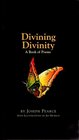 Divining Divinity