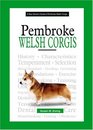 A New Owner's Guide To Pembroke Welsh Corgis