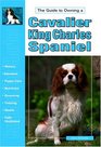 The Guide to Owning a Cavalier King Charles Spaniel