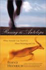 Racing the Antelope What Animals Can Teach Us About Running and Life