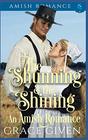 The Shunning and the Shining  An Amish Romance