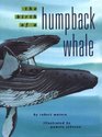 The Birth of a Humpback Whale