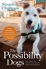 The Possibility Dogs What a Handful of Unadoptables Taught Me About Service Hope and Healing