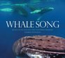 Whale Song Journeys into the Secret Lives of the North Atlantic Humpbacks