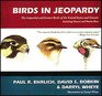 Birds in Jeopardy The Imperiled and Extinct Birds of the United States and Canada