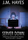 Server Down