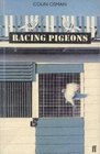 Racing Pigeons
