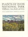 Plants of Zion National Park