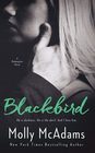 Blackbird (Redemption) (Volume 1)