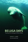 Beluga Days Tracking the Endangered White Whale