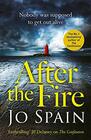 After the Fire: the latest Tom Reynolds mystery from the bestselling author of The Confession (An Inspector Tom Reynolds Mystery)