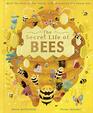 The Secret Life of Bees Meet the bees of the world with Buzzwing the honey bee