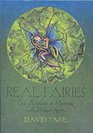 Real Faeries True Accounts of Meetings with Nature Spirits