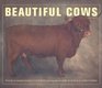 Beautiful Cows