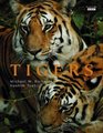 Tigers Michael W Richards Hashim Tyabji