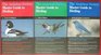 The Audubon Society Master Guide to Birding