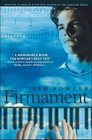 Firmament